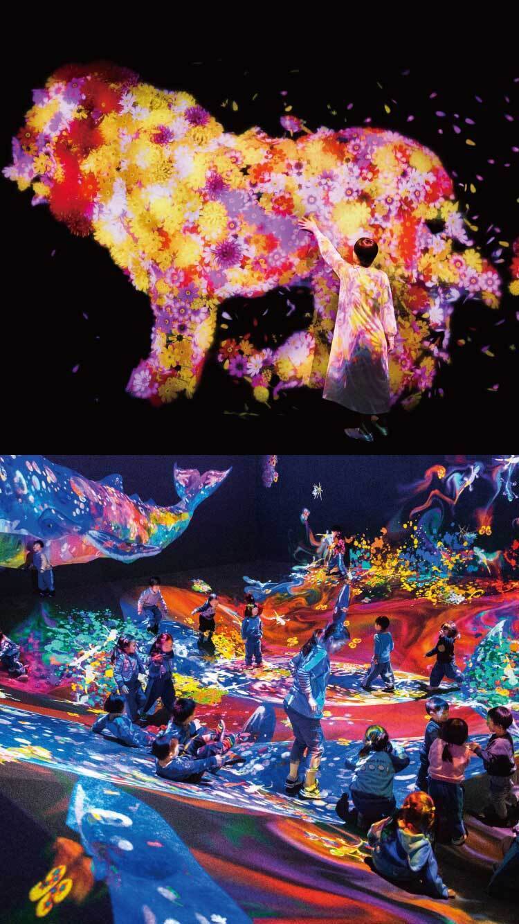 Shimane Art Museum | teamLab Learn and Play! Future Park